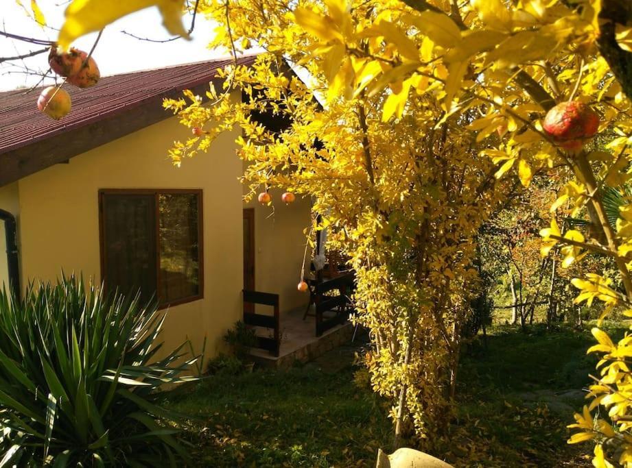 Yellow Villa Sinemoretz Exterior foto